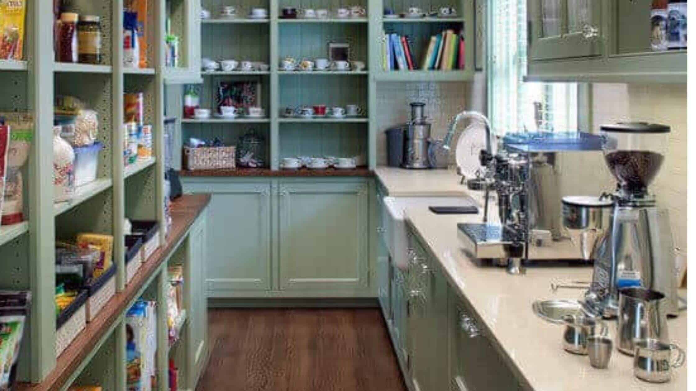 Kitchen Pantry Closet Design Ideas